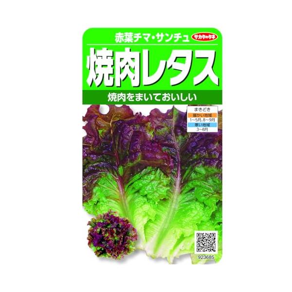 【商品概要】切替月:6月詰量:2.5ml発芽率:85%採苗本数:600春秋扱い:春秋兼用種まきどき:春・秋【商品説明】【商品詳細】ブランド：サカタのタネ商品種別：DIY・工具・ガーデン商品名：実咲野菜 レタス 焼肉レタス 赤葉チマ・サンチュ...