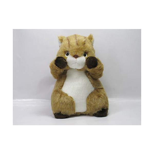 【商品概要】森のなかまシリーズぬいぐるみ【商品説明】【商品詳細】ブランド：たけのこ商品種別：おもちゃ商品名：Takenoko 森のなかま リス S ?18791製造元：たけのこ商品番号：18791商品内容：ワンサイズ【当店からの連絡】