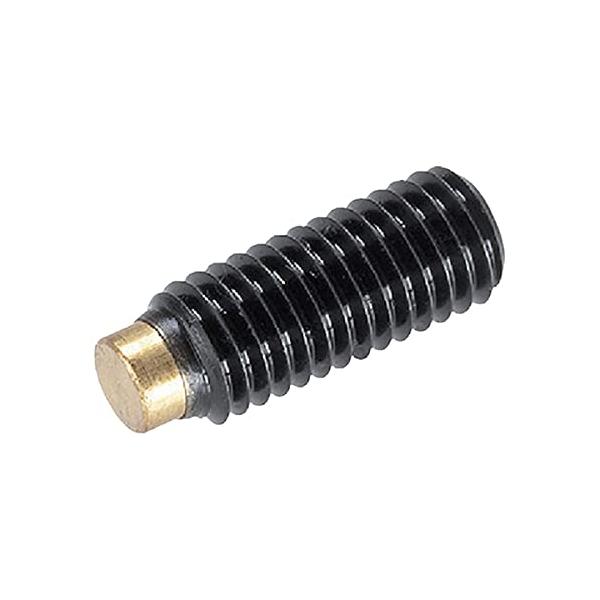 【商品概要】●最高使用温度：250℃●六角穴付【商品説明】【商品詳細】ブランド：ロームヘルド・ハルダー商品種別：小ねじ・機械ねじ商品名：ＨＡＬＤＥＲ 　プレッシャースクリュー　黄銅ピン付　外径Ｍ４　長さ１６．５ 22760.0046製造元：...