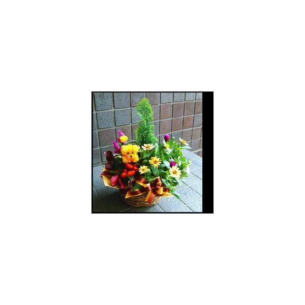 花 ギフト　お中元　開店祝い　誕生日　プレゼント プランツアレンジ　人気ランキング