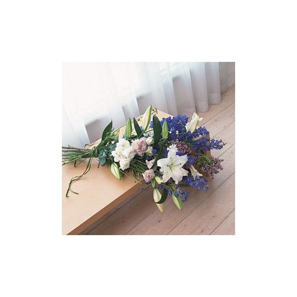 ފ݁@ V@ʖ@ފ݁@ V@ʖԁ@V