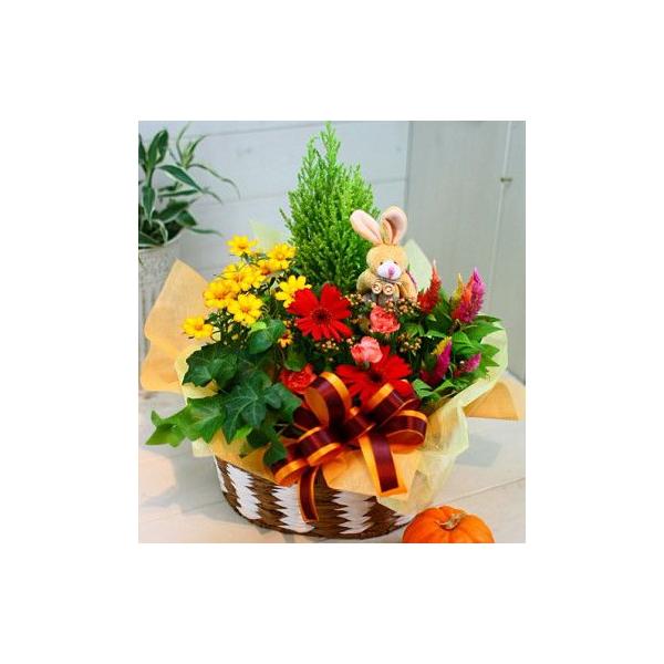 愛妻の日　お祝いにも人気、お祝い、愛妻の日などに人気のプランツアレンジメント。鉢植えなのでとっても長持ち！！来年の咲いて、毎年楽しめます。愛妻の日　お祝いにも人気、お祝いの花ギフトにいかがでしょうか？季節のお花と観葉植物で作った花鉢の詰め合...