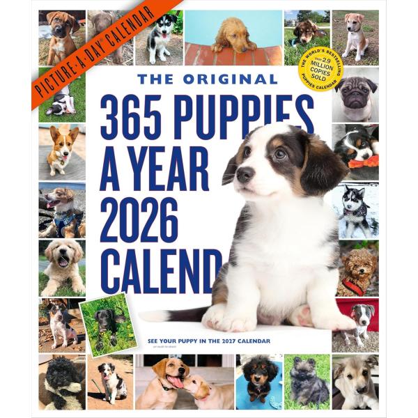 nippanips_9781523531332