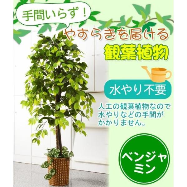お手軽観葉植物 人工観葉植物 直送商品 ベンジャミン