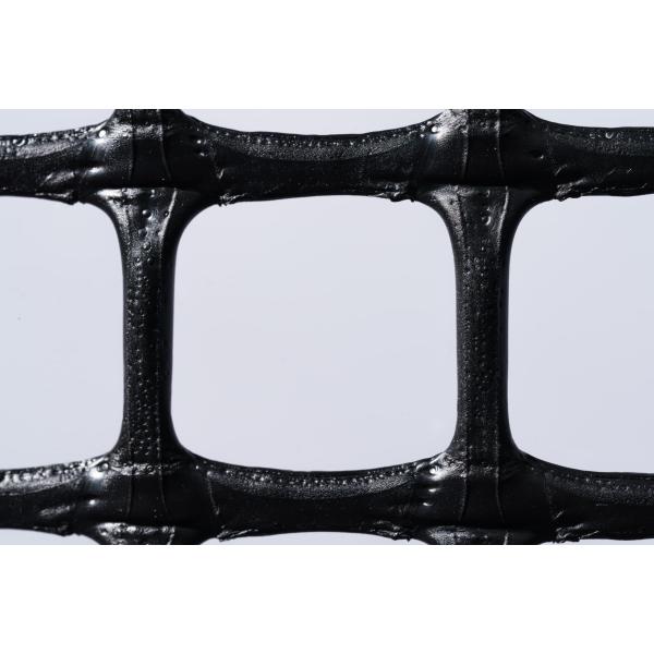 限定品 トリカルネット 防獣 転落防止 1m×24m 黒 N29 網目25mm トリカルネット プラスチックネット N-29 黒 幅1240mm 長さ50m 一巻き