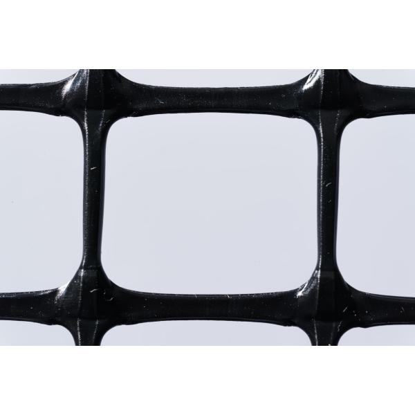 トリカルネット プラスチックネット N-955 黒 幅2000mm 長さ1m  切り売り 角目 フェンス 樹脂網 樹脂ネット 防獣 防鳥 雨どい 園芸 侵入防止 獣害対策 保護 防雪
