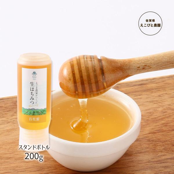 nipponmarche_4560326805568