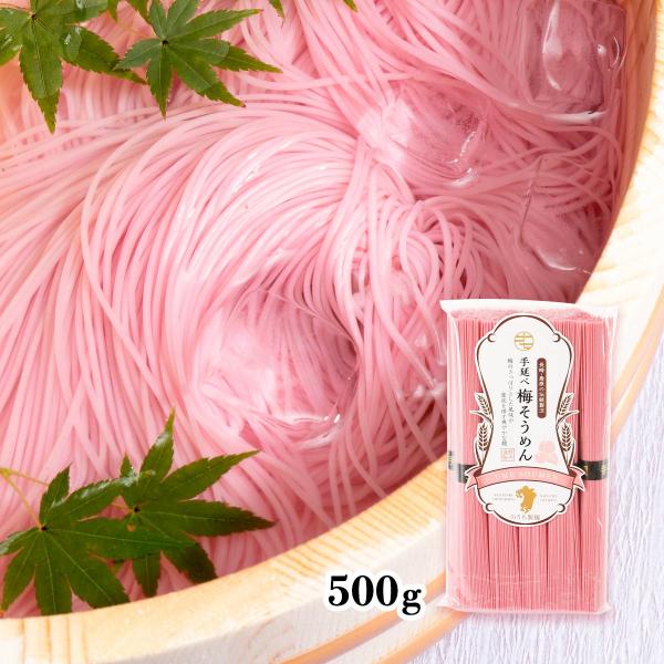 そうめん 送料無料 [のうち製麺] 手延べ梅そうめん 500g(50g×10束