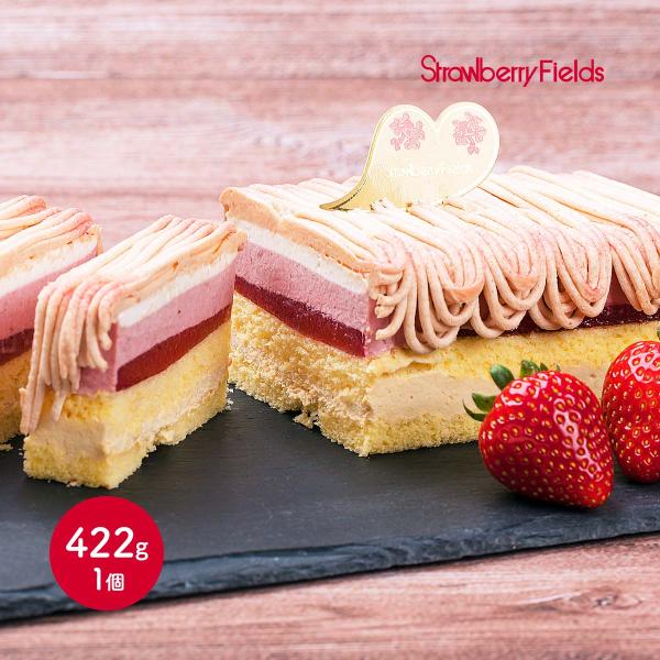 内容量:1個(422g)温度帯:冷凍アレルギー表示:乳成分、卵、小麦、大豆メーカー名:有限会社エス・エフ・マーケット  福岡県福岡市早良区南庄3-22-8◆商品説明◆福岡県産あまおう苺を使用したモンブランケーキです。『あまおう』の特徴は、見...