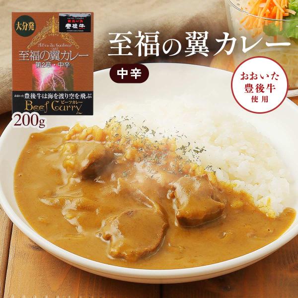 レトルトカレー 佐伯海産 至福の翼カレー 中辛 200g /人気 レトルトカレー 佐伯海産 至福の翼カレー 中辛 200g /人気