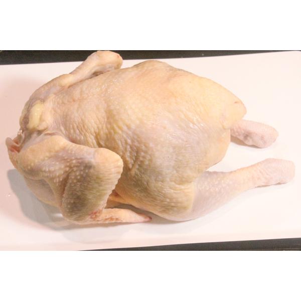 鶏肉 独楽 九州ブランド なでしこ姫鶏 中抜き 1羽 2000g /チキン 丸鶏 ローストチキン 鶏肉 パーティー