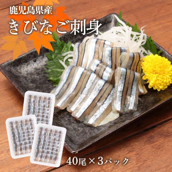 刺身 [丸山海産] 鹿児島産きびなご刺身 40尾×3パック /キビナゴ ご当地食材 お取り寄せグルメ お刺身 冷凍 おつまみ おかず 惣菜 鹿児島県産