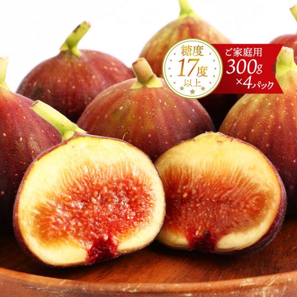 イチジク 福岡中央青果 いちじく(博多とよみつ姫) 300g×4パック 【発送時期:8月下旬〜9月末】/とよみつひめ 無花果 果物 福岡県 ご家庭用 青果 旬のフルーツ