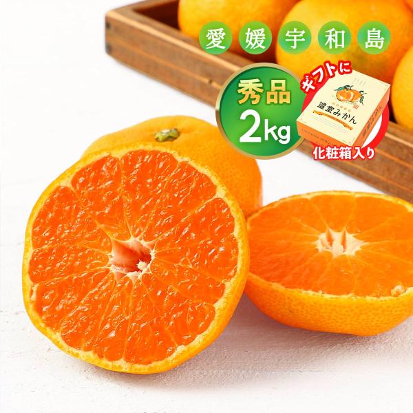 ハウスみかん 2kg 送料無料 宇和島青果市場 愛媛宇和島 温室みかん 2kg 【7月上旬頃〜順次発送】/愛媛みかん 国産 ギフト 贈答用 お中元 フルーツ 青果 果物