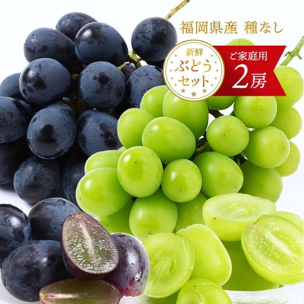 送料無料 [福岡中央青果] 福岡県産 ぶどうセット (シャインマスカット×BKシードレス(種無し巨峰) ご家庭用 【発送時期:8月中旬〜9月末】/フルーツ 産地直送