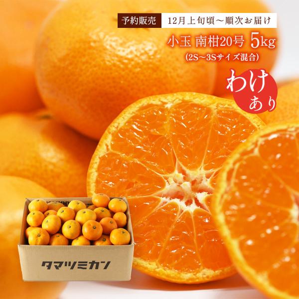 愛媛県産みかん 5kg [玉津柑橘倶楽部] 温州みかん 小玉(南柑20号) 訳