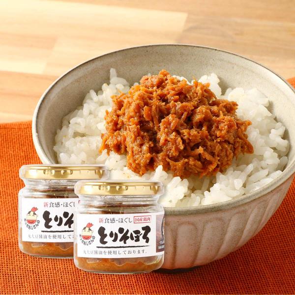とりそぼろ 鶏そぼろ 大分からあげ 新食感・ほぐし とりそぼろ 100g×2袋セット