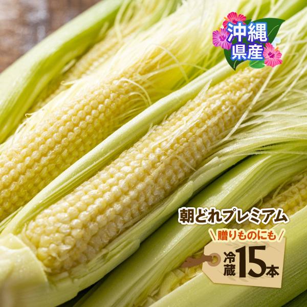 送料無料 朝どれプレミアムヤングコーン 15本入り 【出荷開始:12月