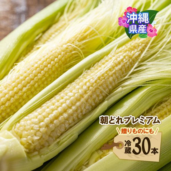 原材料:ヤングコーン(石垣島産)産地:日本内容量:30本温度帯:冷蔵アレルギー表示:なしメーカー名:てとぬふぁ  神奈川県横須賀市追浜本町1-86◆商品説明◆※商品のお届けは【12月頃?順次発送】となります。ご了承ください。※青果の為、生育...