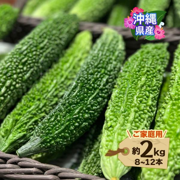 原材料:ゴーヤ産地:日本内容量:約2kg温度帯:常温アレルギー表示:なしメーカー名:てとぬふぁ  神奈川県横須賀市追浜本町1-86◆商品説明◆※商品のお届けは【12月頃〜順次発送】となります。ご了承ください。※青果の為、生育状況によっては発...