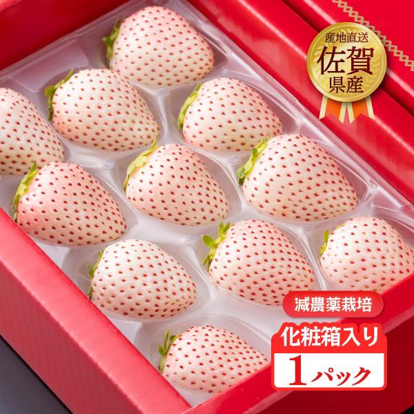 原材料:いちご(佐賀県産)産地:日本内容量:1パック温度帯:冷蔵アレルギー表示:なしメーカー名:ハヤシダファーム  佐賀県杵島郡白石町福富5478◆商品説明◆※商品のお届けは【3月上旬頃〜順次発送】となります。ご了承ください。※青果の為、生...