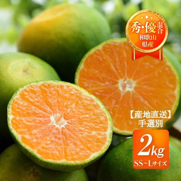 和歌山県産みかん 2kg 送料無料 [森本農園] 極早生みかん 秀・優混合SS〜L 2kg 【発送時期:10月中旬頃〜順次発送】 /極早生 ミカン 温州みかん 国産 産地直送
