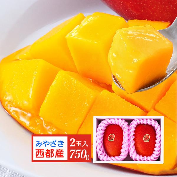 マンゴー 宮崎 完熟マンゴー 2L サイズ 750g (2玉) 【予約：6月