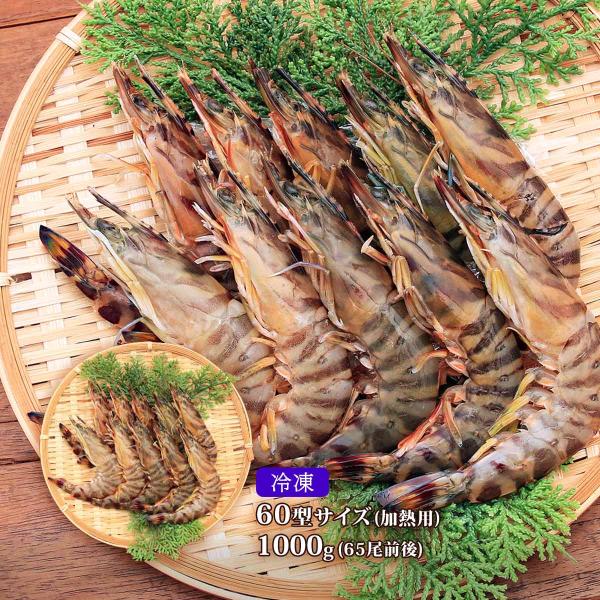 [隼人車えび] 海鮮 冷凍車海老60型サイズ（加熱用） 1,000g(65尾前後)/車エビ/くるまえび/鹿児島県産/お歳暮/お中元/ギフト/プレゼント/エビフライ/天ぷら