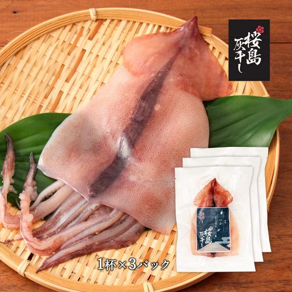 送料無料 [清泉社] 魚介類加工品 するめいか 1杯×3パックセット/干物