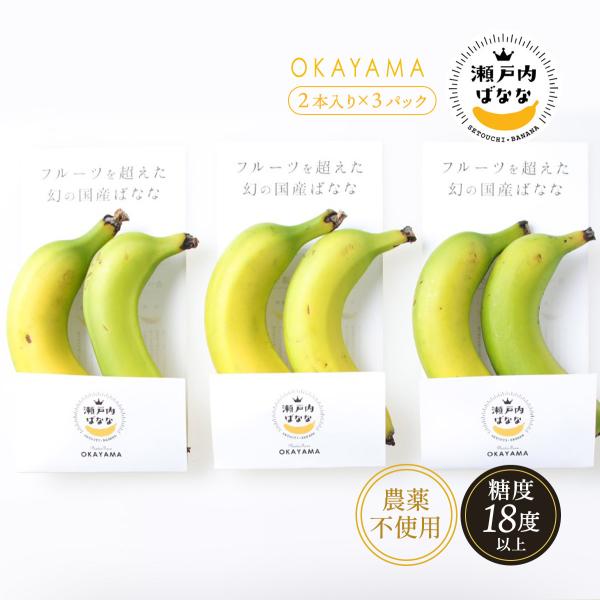 岡山県産バナナ [プランター] 幻の国産バナナ 瀬戸内ばなな 2本入り×3パック /岡山県 無農薬 幻の品種 グロスミシェル種 高級バナナ 貴重 送料無料