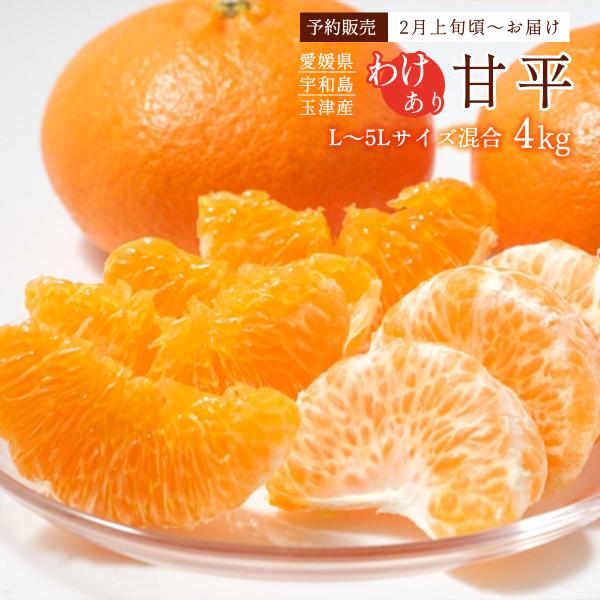 原材料:甘平産地:日本内容量:4kg L~5Lサイズ混合温度帯:常温アレルギー表示:なしメーカー名:株式会社玉津柑橘倶楽部  愛媛県宇和島市吉田町法花津6-82-2◆商品説明◆※商品のお届けは【2月上旬頃〜順次発送】となります。ご了承くださ...