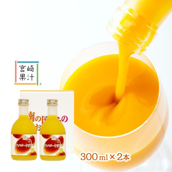 フルーティー マンゴー プロテインドリンク 2本セット ハーバライフプロテインドリンク チョコレートとフルーティー