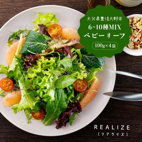 ベビーリーフ 500g 送料無料 Realize ベビーリーフ 100g(6〜10種類MIX)×5袋入り /大分県産 国産 九州 産地直送 新鮮 採れたて 冷蔵便 サラダ カルパッチョ