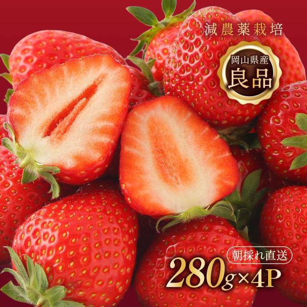 原材料:いちご(岡山県美作市)産地:日本内容量:280g×4温度帯:冷蔵アレルギー表示:なしメーカー名:有限会社美作農園  岡山県美作市奥1117◆商品説明◆※商品のお届けは【1月頃〜順次発送】となります。ご了承ください。※青果の為、生育状...