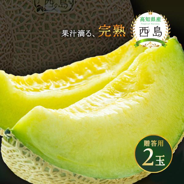 贈答用 高知県産マスクメロン 西島園芸団地 マスクメロン A(化粧箱入) 2玉 【発送時期:6月中旬頃〜順次発送】/フルーツ 果物 ギフト 贈り物 青果 予約 送料無料