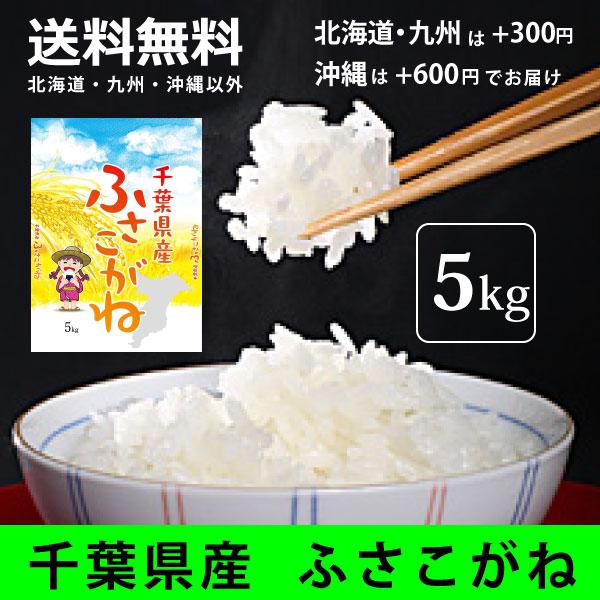 米 安い セール 千葉県産 ふさこがね 5kg 白米 令和7年産米 ご注文後に
