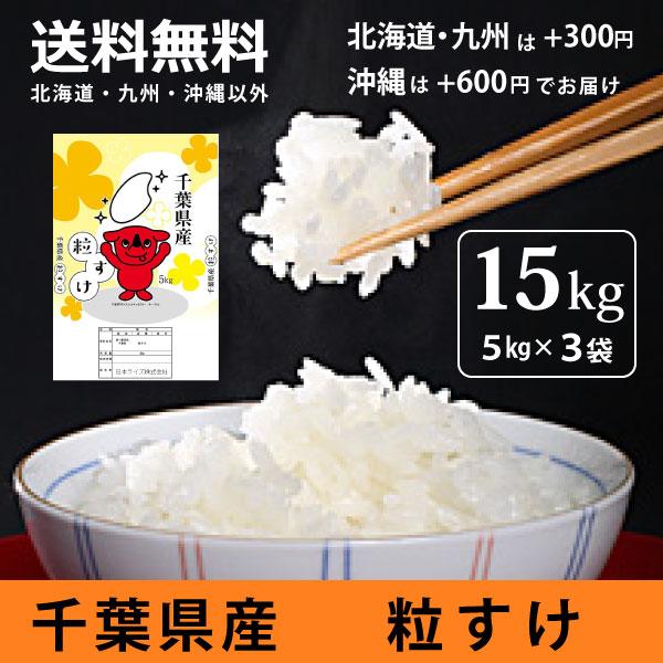 白米 15kg 袋 精米済み 【公式ショッピングサイト】