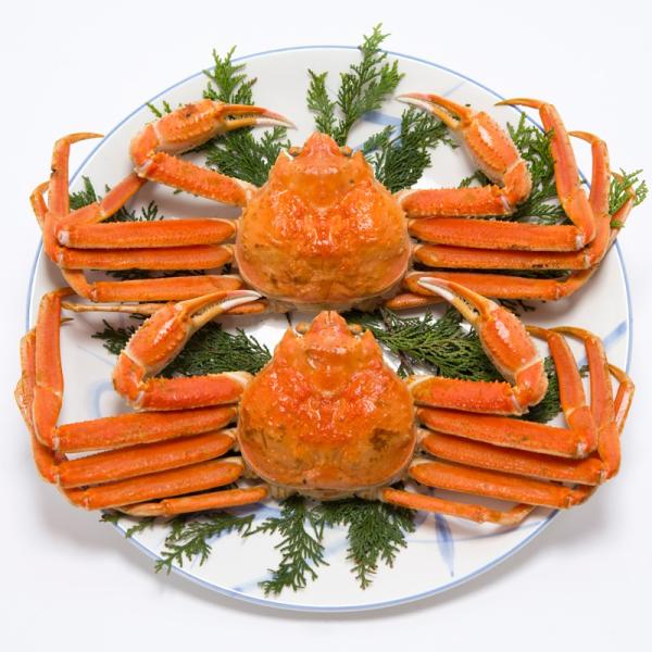 YCKj  Jj 킢2Zbgk{CⓀ킢Ɏp21kgOl DyI̊ kC  |Cg