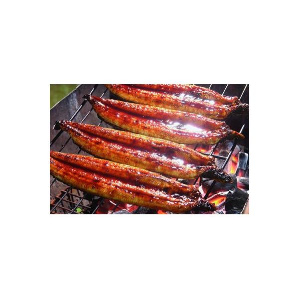 EiM V  3Zbg l\Ȃ̔ s[go ԐlC̊ |݁AAHƂɎMĂ͂  |Cg