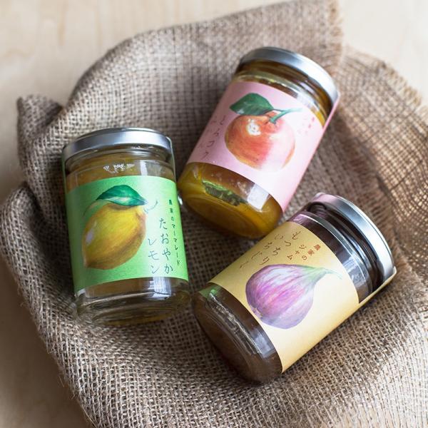 _Ƃ̃W@RZbgi݂^^j ωRt[cK[fi_ƐY@lLЊj a̎R  |Cg