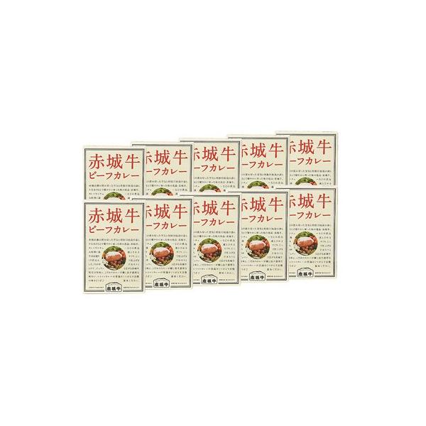 {iIȎ|I@gg炵ʃRNƎ|݁Iqԏ鋍r[tJ[ihjr@ϔ×10Zbg@b@ЊHiEQn  |Cg