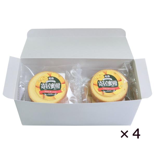 񋏖oEN[w 8×4 oEN[w mَq XC[c ݂ 񋏂݂ o[N[w  쏤X