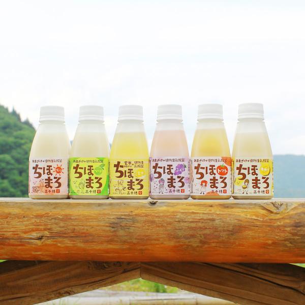 ܂{_ ق܂ 12{Zbg 6 l Î Y sgp hN č { 䃀