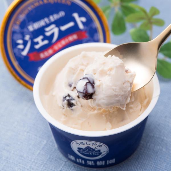 WF[g ʎ܂ Y o [YWF[g 6 Rʎ R`Y ACX Zbg Rʎ R`