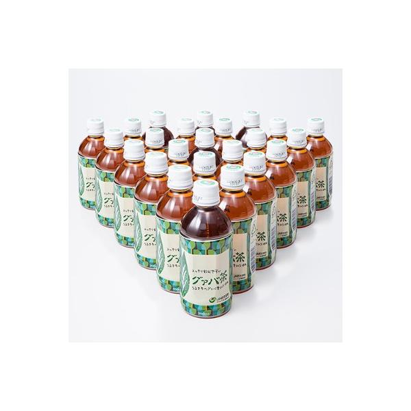 他サイト： 農事組合法人グァバ生産組合 沖縄産原料100％のグァバ茶使用 ノンカフェイン グァバ茶ペットボトル〔350ml×24本〕の商品画像