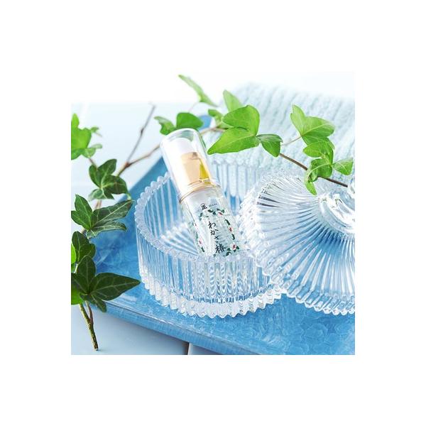 YEM@ỸsAIC@POO킩֖@ij^iJE䌧  |Cg