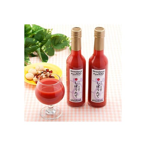 t[cW[X Xgx[sA 2{ Zbg 300ml  W[X TVf Xg[g ʏ` 100% ƂƂ cHi yE ͂sz {錧