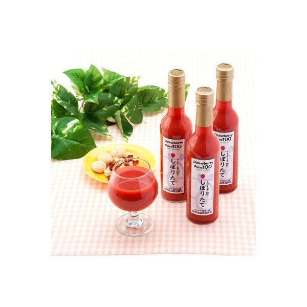 t[cW[X Xgx[sA 3{ Zbg 300ml  TVf ɂW[ ʏ` 100% C`S  ƂƂ cHi yE ͂sz {錧