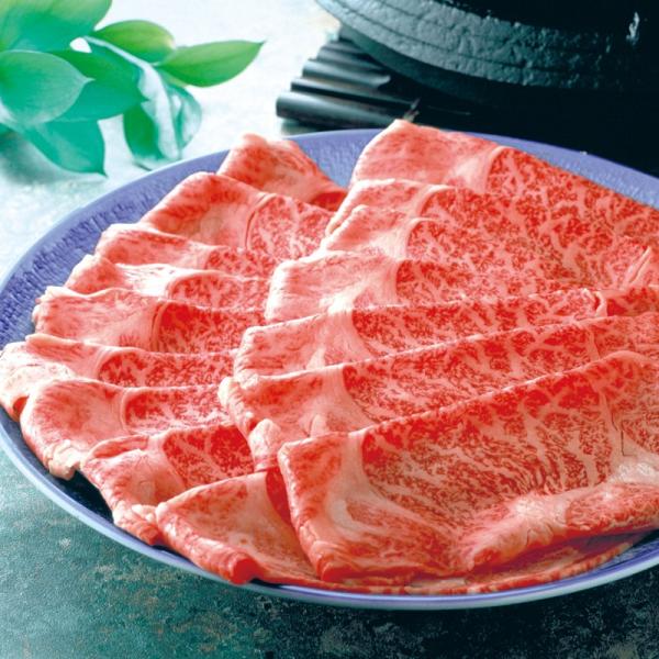 ߍ]ĂpkE[X(500g)l gX ꌧ  |Cg