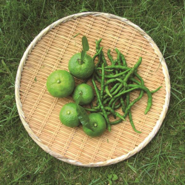 䂸傤̌Lbg 2Zbg MqӞ   䂸Ӟ Y ÂLbg ȒP Zbg B X